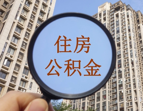 无棣单位补缴公积金需要什么手续（单位补缴公积金需要什么资料）